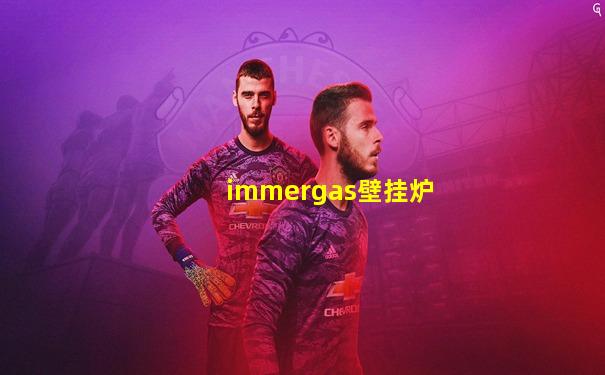 immergas壁挂炉