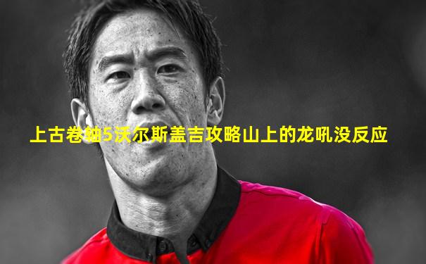 上古卷轴5沃尔斯盖吉攻略山上的龙吼没反应