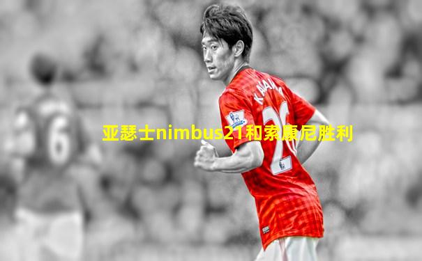 亚瑟士nimbus21和索康尼胜利