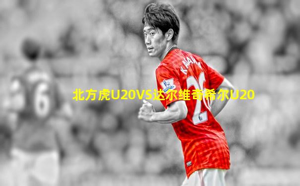 北方虎U20VS达尔维奇希尔U20