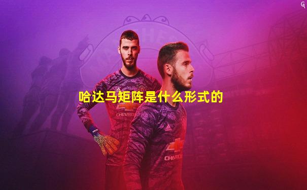 哈达马矩阵是什么形式的