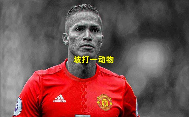 坡打一动物