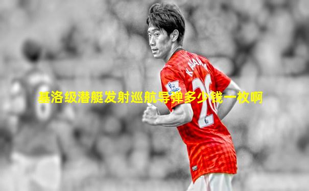 基洛级潜艇发射巡航导弹多少钱一枚啊