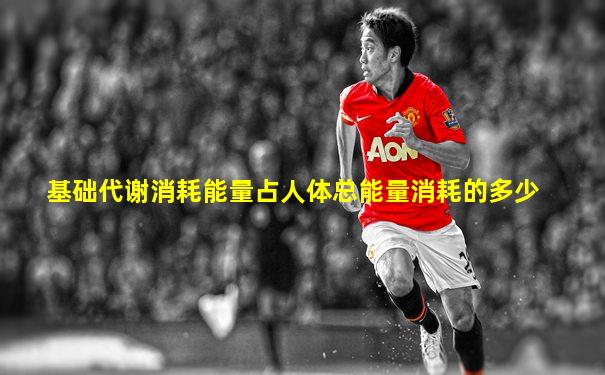 基础代谢消耗能量占人体总能量消耗的多少