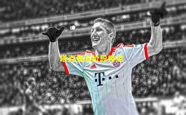 塔克曼五阶段特点