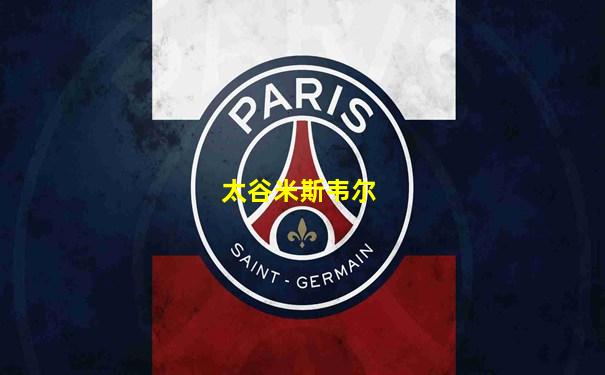 太谷米斯韦尔