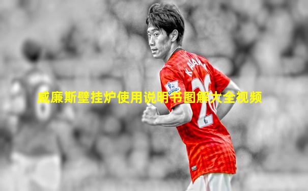 威廉斯壁挂炉使用说明书图解大全视频