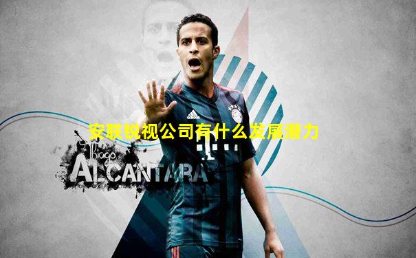 安联锐视公司有什么发展潜力