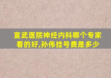 宣武医院神经内科哪个专家看的好,孙伟挂号费是多少