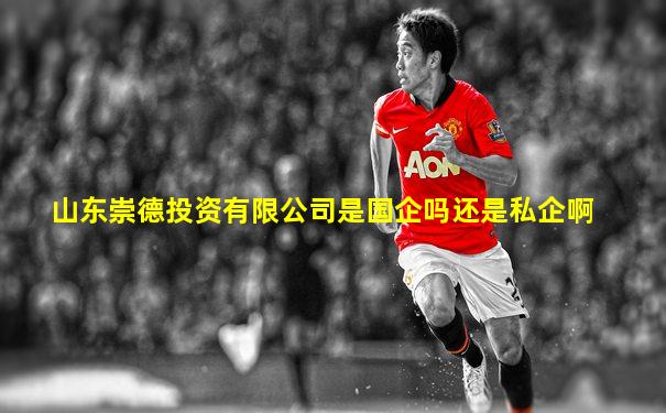 山东崇德投资有限公司是国企吗还是私企啊