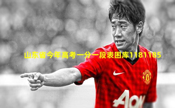 山东省今年高考一分一段表困库1181185