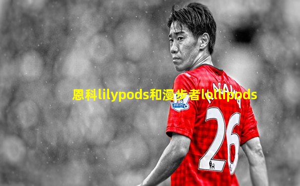 恩科lilypods和漫步者lollipods