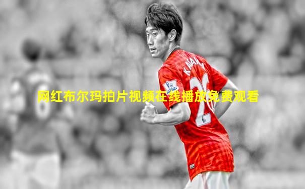 网红布尔玛拍片视频在线播放免费观看