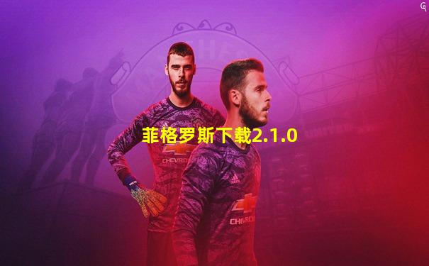 菲格罗斯下载2.1.0