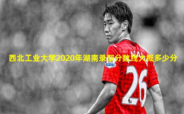 西北工业大学2020年湖南录取分数线大概多少分