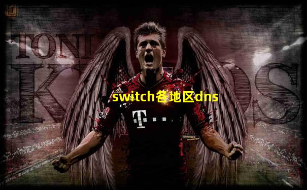 switch各地区dns