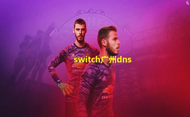 switch广州dns