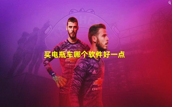 买电瓶车哪个软件好一点