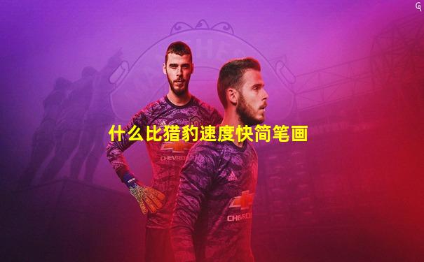 什么比猎豹速度快简笔画
