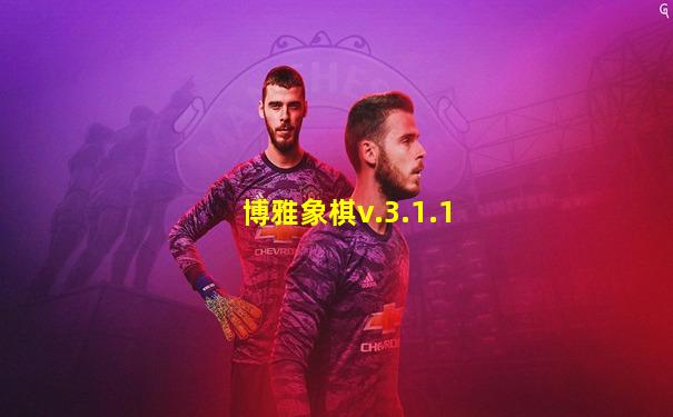 博雅象棋v.3.1.1