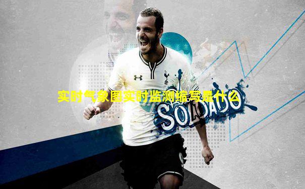 实时气象图实时监测缩写是什么
