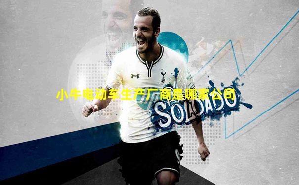 小牛电动车生产厂商是哪家公司