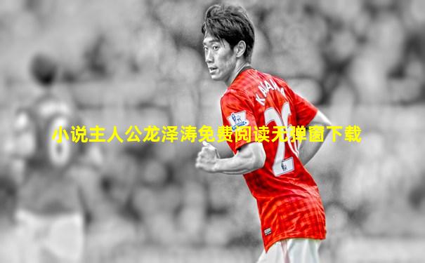 小说主人公龙泽涛免费阅读无弹窗下载