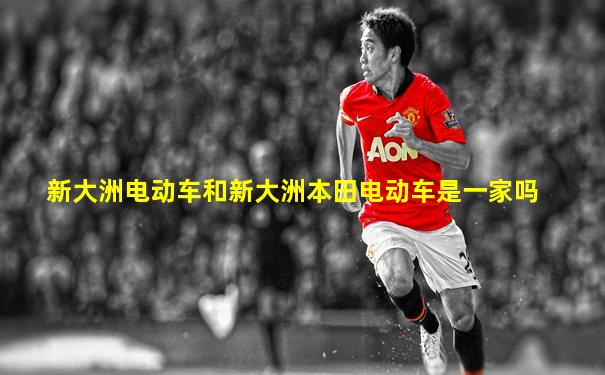 新大洲电动车和新大洲本田电动车是一家吗