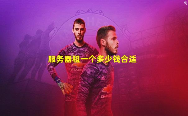 服务器租一个多少钱合适