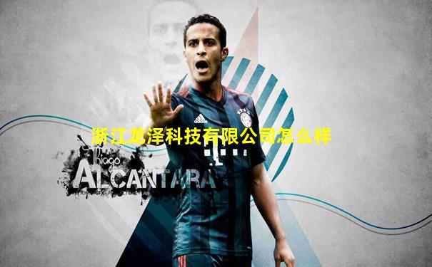 浙江龙泽科技有限公司怎么样