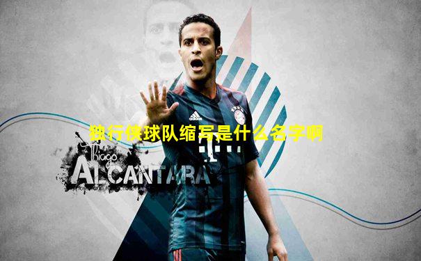 独行侠球队缩写是什么名字啊
