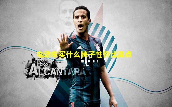 电动车买什么牌子性价比高点