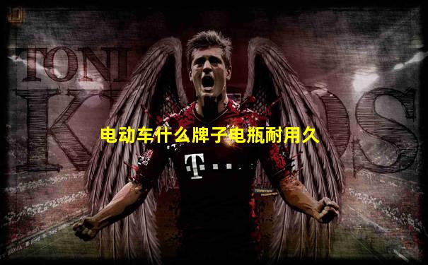 电动车什么牌子电瓶耐用久