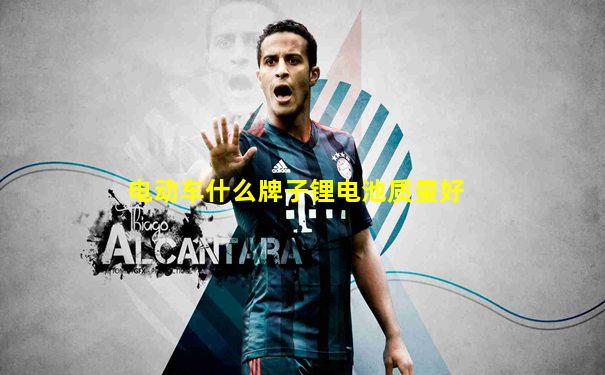 电动车什么牌子锂电池质量好