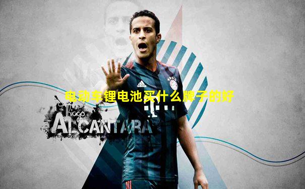 电动车锂电池买什么牌子的好