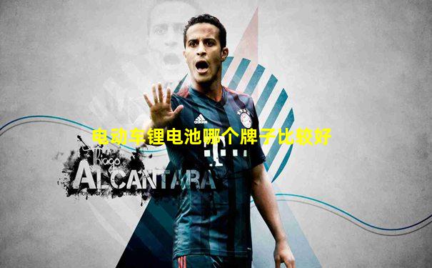 电动车锂电池哪个牌子比较好