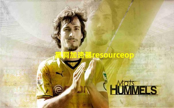 黑洞加速器resourceop
