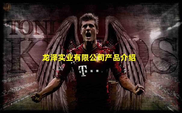 龙泽实业有限公司产品介绍